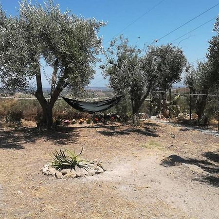Villa Emma Con Panorama Etna A 10 Minuti Dal Mare Лентини Екстериор снимка