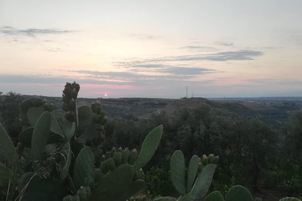 Villa Emma Con Panorama Etna A 10 Minuti Dal Mare Лентини Екстериор снимка